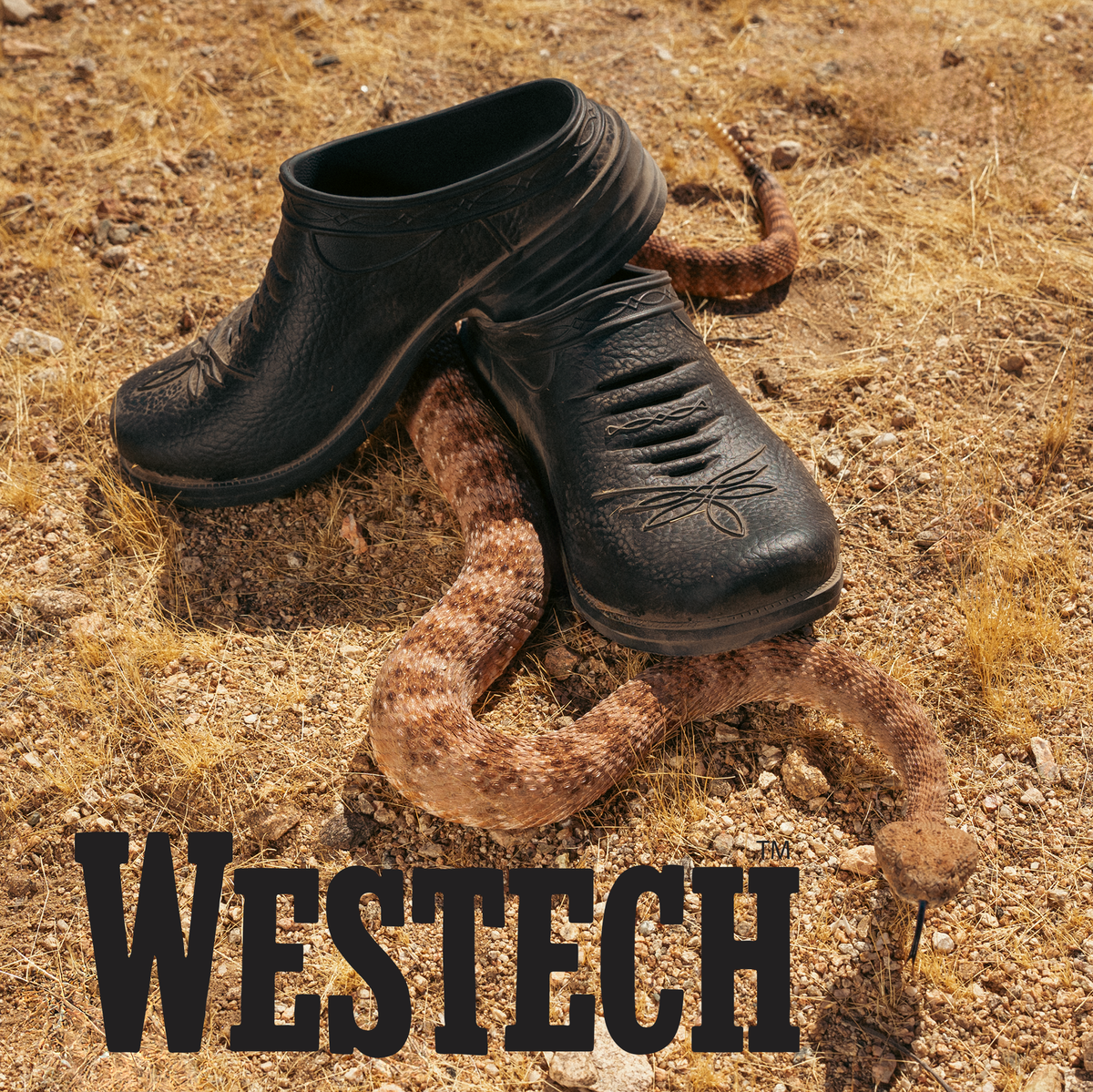 Outrider – Westech USA